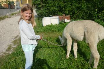 Wanderung mit Alpakas 5.9.2019 9