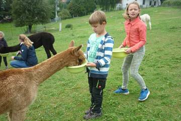 Wanderung mit Alpakas 5.9.2019 18
