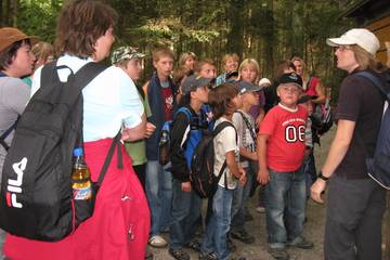 Bayrischer Wald 1