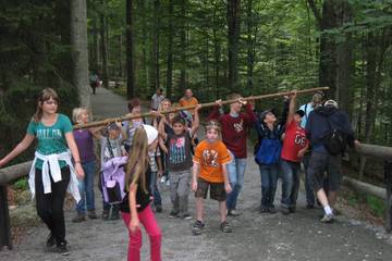 Bayrischer Wald 3