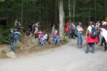 Bayrischer Wald 4