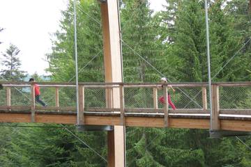 Bayrischer Wald 9