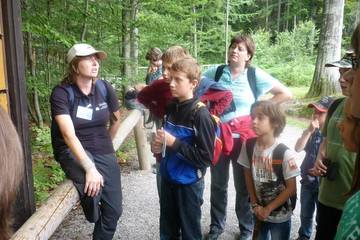 Bayrischer Wald 17