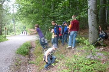 Bayrischer Wald 21