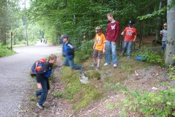 Bayrischer Wald 22