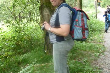 Bayrischer Wald 23