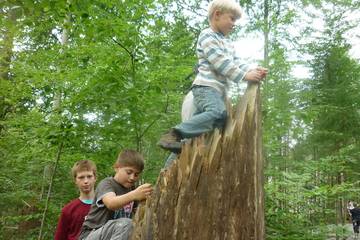 Bayrischer Wald 24