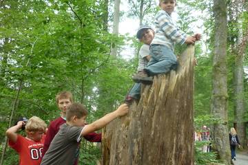 Bayrischer Wald 25
