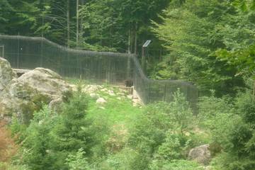 Bayrischer Wald 32