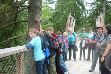 Bayrischer Wald 40
