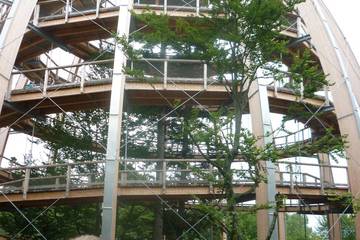 Bayrischer Wald 44