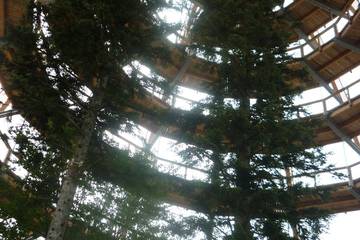 Bayrischer Wald 45