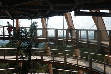 Bayrischer Wald 57