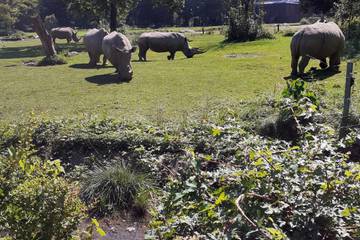 Augsburger Zoo 2021 10