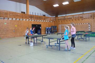 Tischtennis (2013) 3