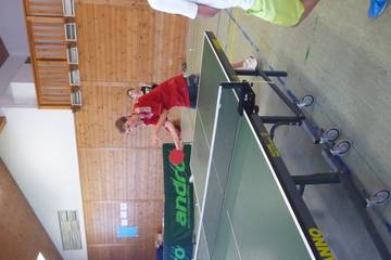 Tischtennis (2013) 5