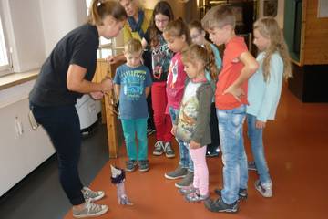 Puppenkistenmuseum 2015 10