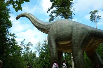 Dinosaurierpark 2017 46