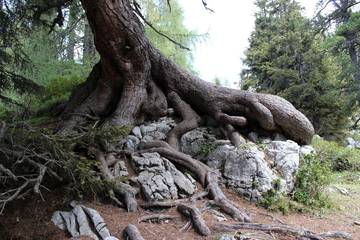 Bergtour 118
