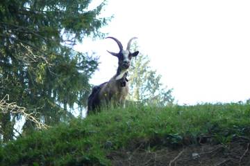 Bergtour 104
