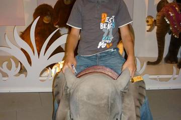 Steiffmuseum 14
