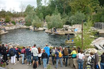 Nürnberger Zoo 2018 5