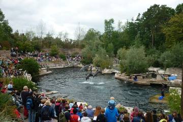 Nürnberger Zoo 2018 12