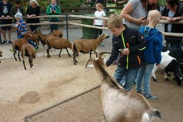 Nürnberger Zoo 2018 19