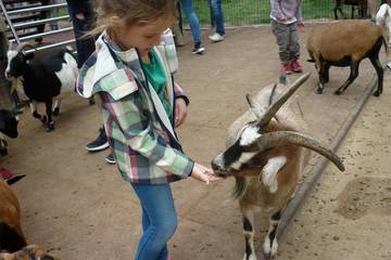 Nürnberger Zoo 2018 7