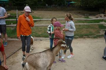 Nürnberger Zoo 2018 8