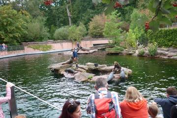 Nürnberger Zoo 2018 17