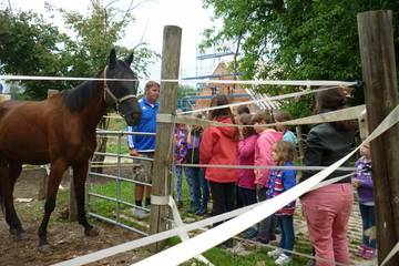 Pferdehof 2017 57