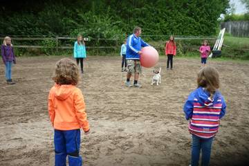 Pferdehof 2017 23
