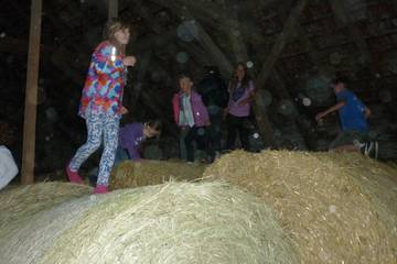 Pferdehof 2017 65