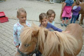 Pferdehof 2017 10