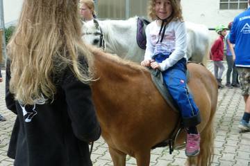 Pferdehof 2017 29