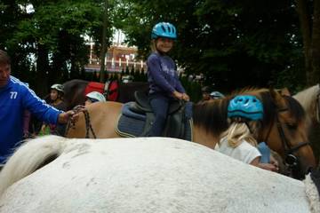 Pferdehof 2017 19