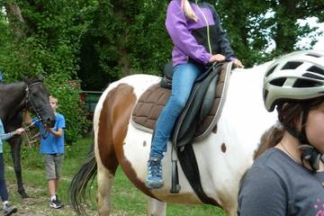 Pferdehof 2017 66
