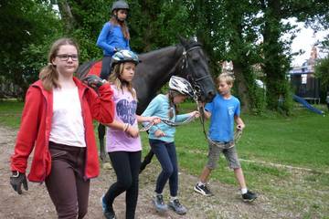 Pferdehof 2017 15