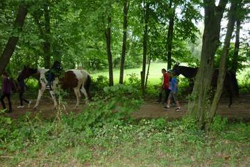 Pferdehof 2017 37