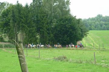 Pferdehof 2017 45