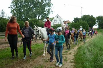 Pferdehof 2017 53