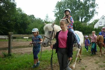Pferdehof 2017 18