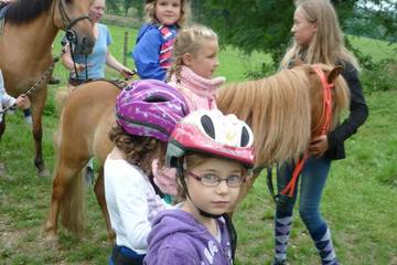 Pferdehof 2017 41