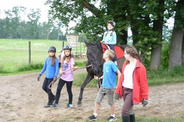 Pferdehof 2017 3