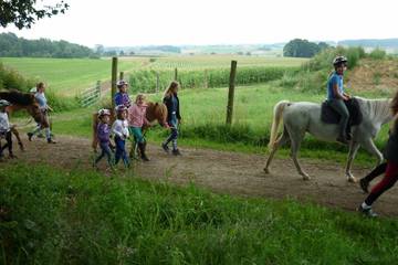 Pferdehof 2017 14