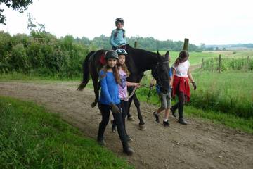 Pferdehof 2017 16