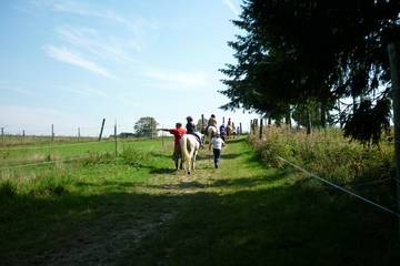 Pferdehof 2018 7