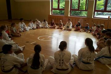 Twin Taekwondo 2017 2