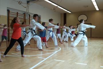 Twin Taekwondo 2017 4